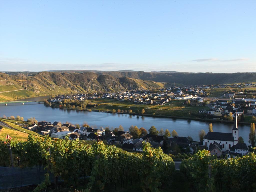 Weingut Lehnert-veit Gutshotel 3* Piesport