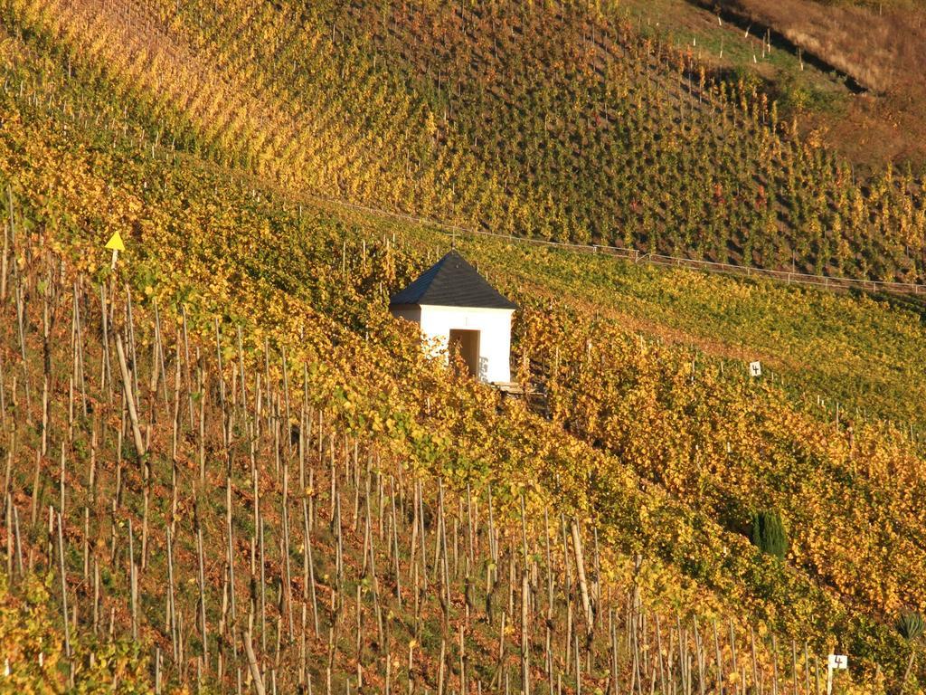 Weingut Lehnert-veit Gutshotel 3*