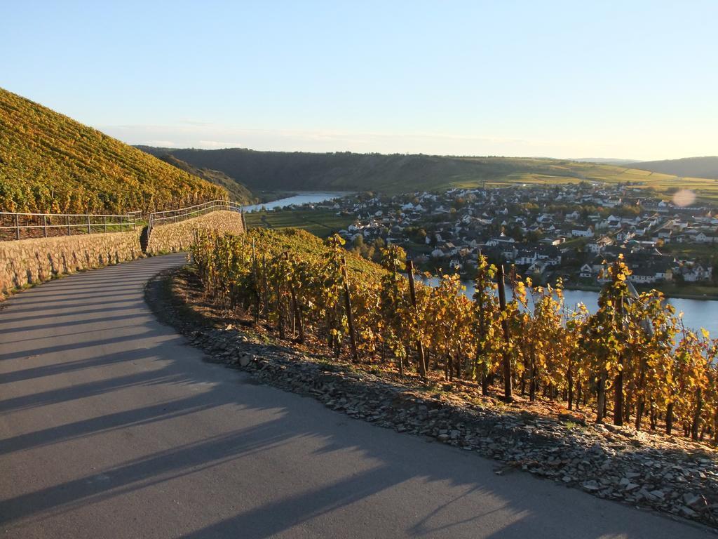 Weingut Lehnert-veit Gutshotel Piesport