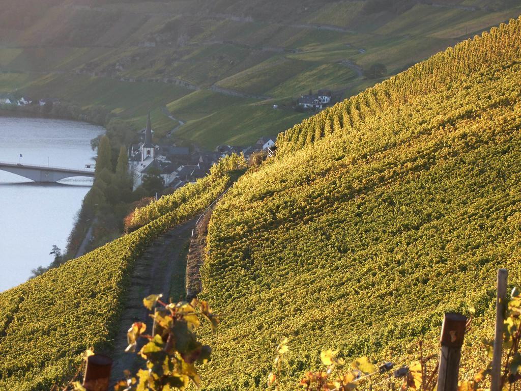 Weingut Lehnert-veit Gutshotel Hotel