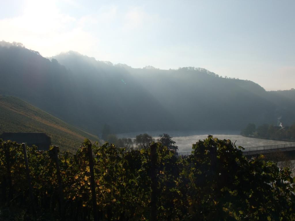 Weingut Lehnert-veit Gutshotel Hotel Piesport